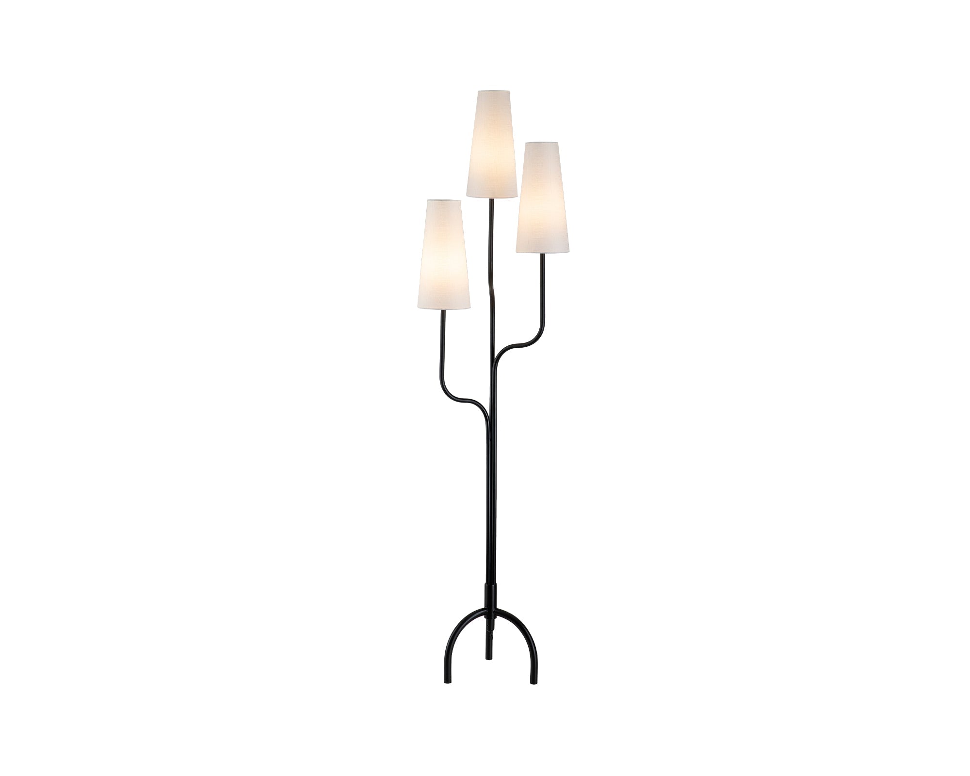 Poiset Floor Lamp - Black Matt Metal